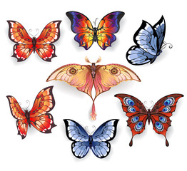 Set of bright exotic butterflies