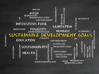 Sustainable development goals