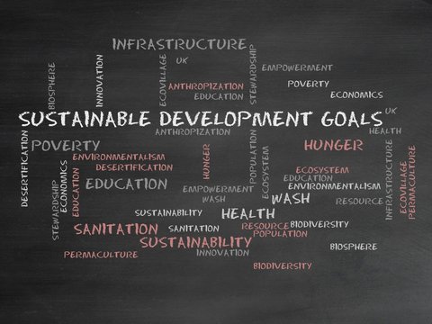 Sustainable Development Goals