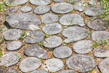 Track of round logs driven into ground