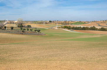 Fototapeta na wymiar Agricultural mosaic landscape in Toledo Province, Spain