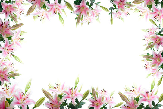Fototapeta lily flowers composition frame