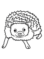 comic cartoon sweet little cute hedgehog