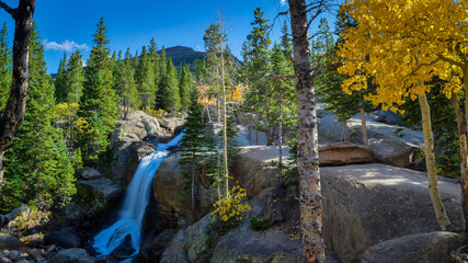 Fototapeta premium Alberta Falls Colorado