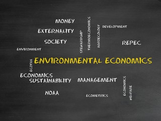 Environmental economics
