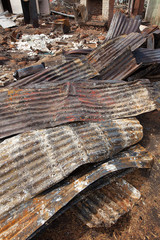 Fire Aftermath Tasmania