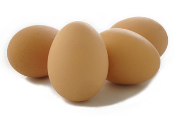 Eggs on white background