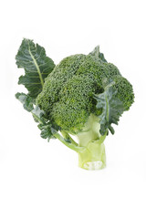 broccoli vegetable on white background