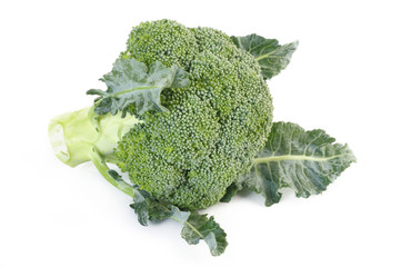 broccoli vegetable on white background