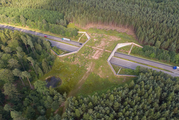 Gr&uuml;nbr&uuml;cke oder Wildbr&uuml;cke