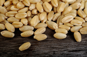 raw pearl barley on wooden background