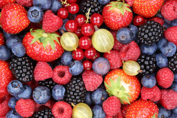Obraz premium Beeren Früchte Erdbeeren Himbeeren Blaubeeren Hintergrund von o