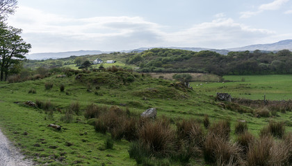 Fototapeta premium Impressionen der Insel Islay