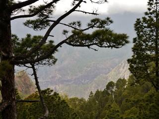 Caldera auf La Palma