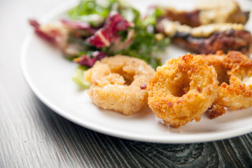 Crunchy fried Onion Rings with salad and roast chicken