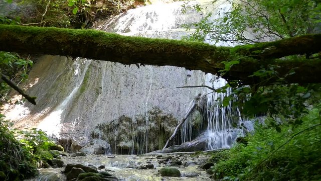 wasserfall mit baumstamm, sense, bern, schweiz 