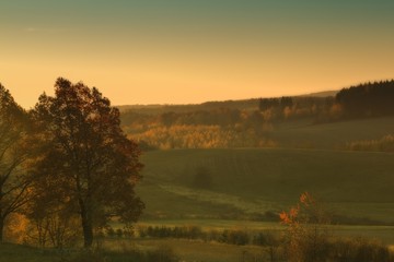 Hills and forest at autumn sunrise