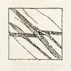 Disintegration and switching of mineral layers (from Meyers Lexikon, 1895, 7/64)