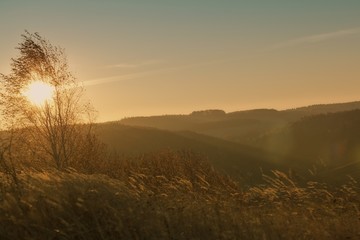 Hills and forest at autumn sunrise