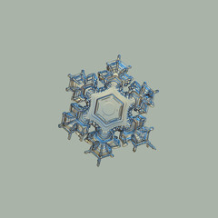 Snowflake isolated on uniform grey / yellow background. This is real snow crystal with simple central region and short arms with complex pattern.