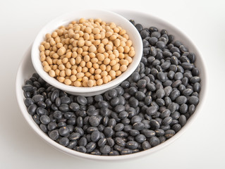 Gelbe und schwarze Sojabohnen