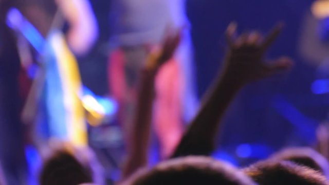 People at the concert. Defocused slow motion
