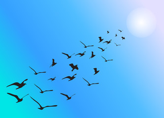 Birds flying in formation with warm tone
