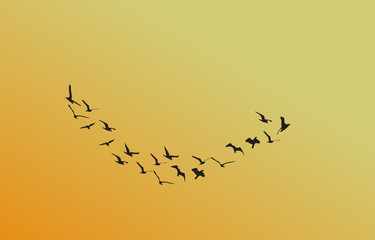 a flock of birds at dawn, the sun