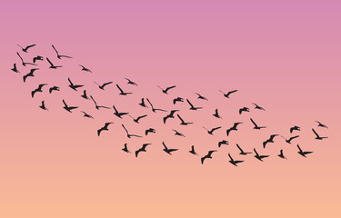 many birds flying in the sky, nature series - 117000774
