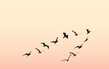 silhouettes of flying birds, vector illustration