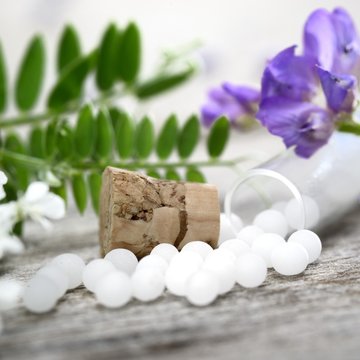 Theraphie Bilder Durchsuchen 386 Archivfotos, und