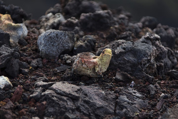 Buntes Vulkangestein