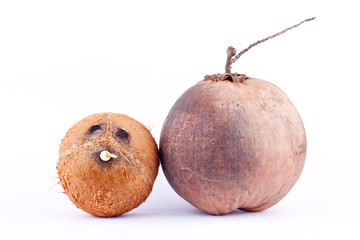coconut shell and  brown ripe coconut for coconut milk  on white background healthy fruit food isolated
