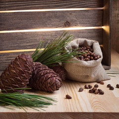 Siberian cedar cones and seeds.