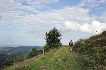 femme randonnant dans paysage montagneux des Vosges, petit ballon d'Alsace, France