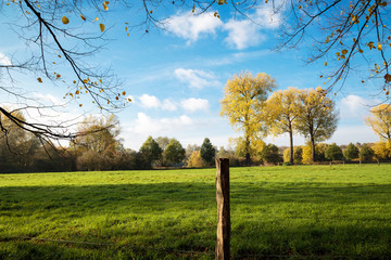 Fototapeta premium Autumn colored Rhineland Landscape at Krefeld