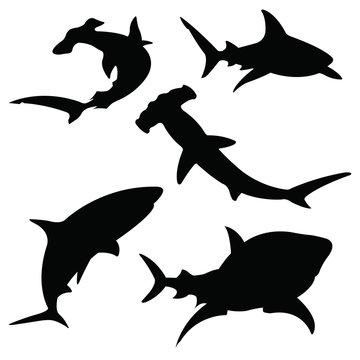 Shark vector silhouettes set