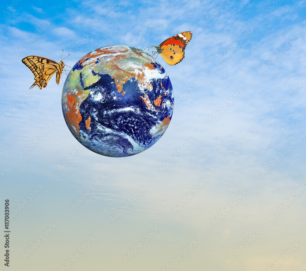 Wall mural butterfly on planet earth.elements of this image furnished by na