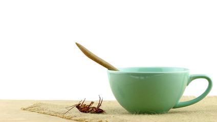 cockroach in wooden spoon with cup of soup