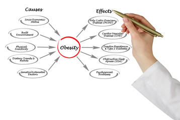 Obesity: causes and effects