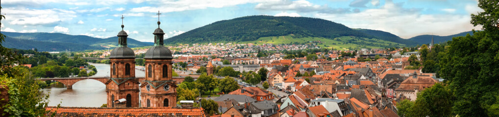 Obraz premium Panorama von Miltenberg am Main