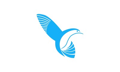 Fly Humming Blue Bird