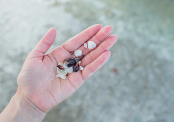 Shells on a female hand on a background of sea sand