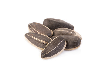 sun flower seed on white background
