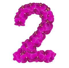 Alphabet number nine from orchid flowers isolated on white
