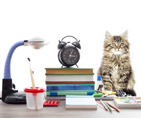 kitten and school set