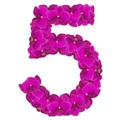 Naklejka na ściany i meble Alphabet number nine from orchid flowers isolated on white 