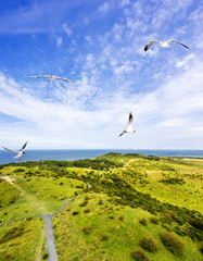 Fototapeta premium Hiddensee