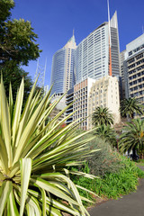 Fototapeta na wymiar Sydney City skyline with gardens in foreground, Australia