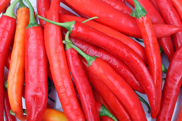 fresh red chili or chilli cayenne pepper background